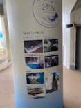 新江ノ島水族館に投稿された画像（2024/4/21）