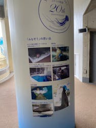 新江ノ島水族館に投稿された画像（2024/4/21）