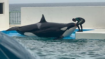 鴨川シーワールドに投稿された画像（2024/4/21）