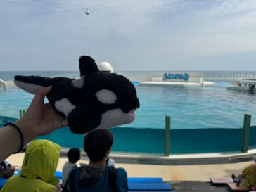 鴨川シーワールドに投稿された画像（2024/4/21）