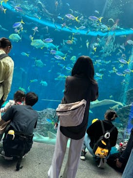 鴨川シーワールドに投稿された画像（2024/4/21）