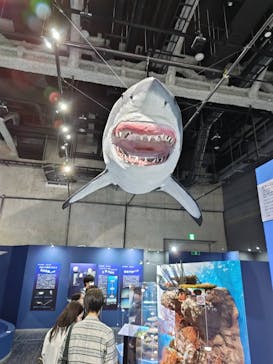 特別展「海　―生命のみなもと―」名古屋市科学館に投稿された画像（2024/4/21）