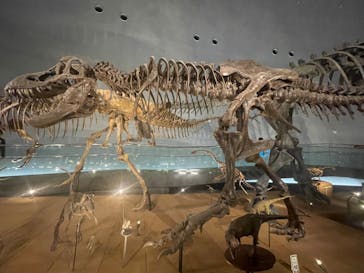 福井県立恐竜博物館に投稿された画像（2024/4/21）