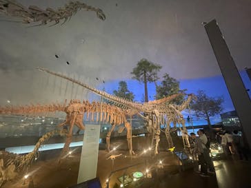 福井県立恐竜博物館に投稿された画像（2024/4/21）
