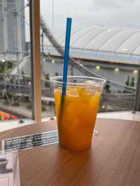 東京ドーム天然温泉 スパ ラクーアに投稿された画像（2024/4/21）