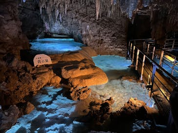 おきなわワールドに投稿された画像（2024/4/21）