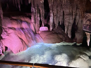 おきなわワールドに投稿された画像（2024/4/21）