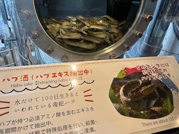 おきなわワールドに投稿された画像（2024/4/21）