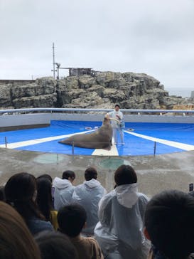 大分マリーンパレス水族館 「うみたまご」に投稿された画像（2024/4/21）