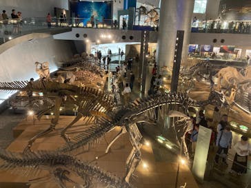 福井県立恐竜博物館に投稿された画像（2024/4/21）