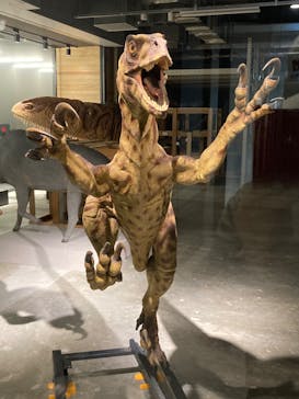 福井県立恐竜博物館に投稿された画像（2024/4/21）