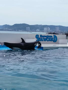 鴨川シーワールドに投稿された画像（2024/4/21）