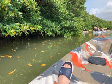 石垣島カヌーツアー池間に投稿された画像（2024/4/21）