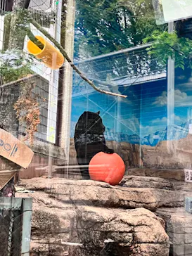 天王寺動物園に投稿された画像（2024/4/21）