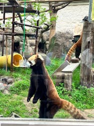天王寺動物園に投稿された画像（2024/4/21）