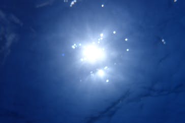 ダイビングチーム あなたの清（きよし）に投稿された画像（2024/4/21）