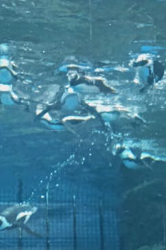 京都水族館に投稿された画像（2024/4/21）