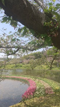 浜名湖花博2024に投稿された画像（2024/4/21）