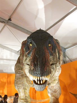 オダイバ恐竜博覧会2024 -福井から“ヤツラ”が新幹線でやってくる！-に投稿された画像（2024/4/21）
