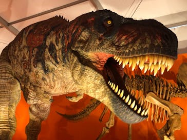 オダイバ恐竜博覧会2024 -福井から“ヤツラ”が新幹線でやってくる！-に投稿された画像（2024/4/21）