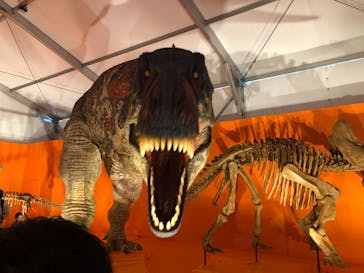 オダイバ恐竜博覧会2024 -福井から“ヤツラ”が新幹線でやってくる！-に投稿された画像（2024/4/21）