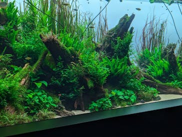 AOAO SAPPOROに投稿された画像（2024/4/21）