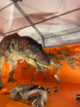 オダイバ恐竜博覧会2024 -福井から“ヤツラ”が新幹線でやってくる！-に投稿された画像（2024/4/21）