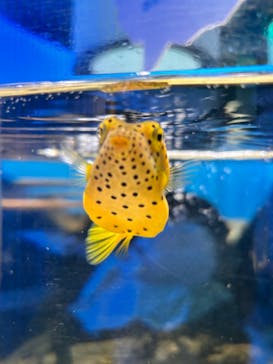 NIFREL（ニフレル）に投稿された画像（2024/4/21）