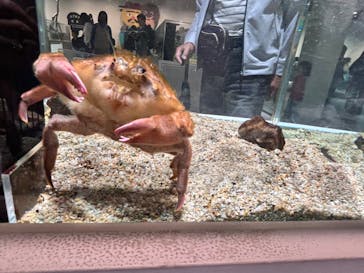 NIFREL（ニフレル）に投稿された画像（2024/4/21）