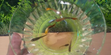 NARA IKIMONO MUSEUMに投稿された画像（2024/4/21）