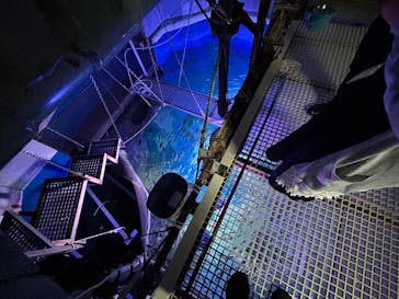 マクセル アクアパーク品川に投稿された画像（2024/4/21）