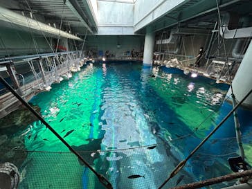 マクセル アクアパーク品川に投稿された画像（2024/4/21）