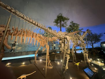 福井県立恐竜博物館に投稿された画像（2024/4/21）