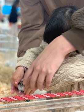 いきもの探検隊上尾に投稿された画像（2024/4/21）