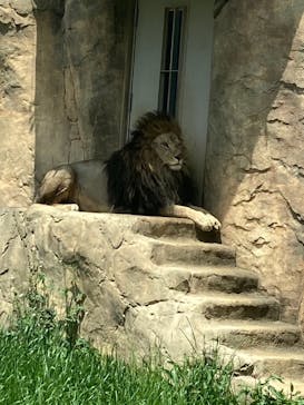 千葉市動物公園に投稿された画像（2024/4/21）