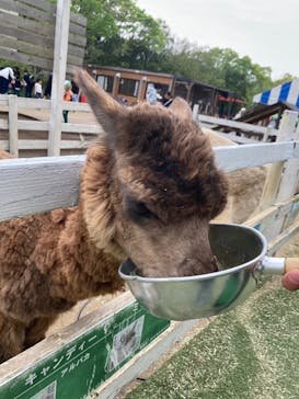 千葉市動物公園に投稿された画像（2024/4/21）