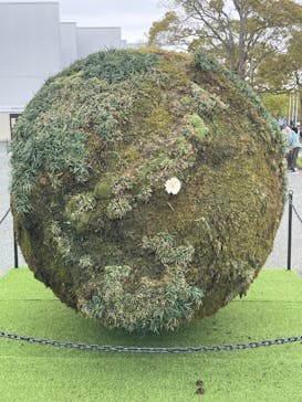 浜名湖花博2024に投稿された画像（2024/4/21）