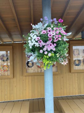 浜名湖花博2024に投稿された画像（2024/4/21）