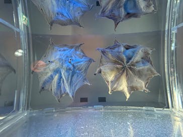 名古屋港水族館に投稿された画像（2024/4/21）