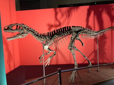 オダイバ恐竜博覧会2024 -福井から“ヤツラ”が新幹線でやってくる！-に投稿された画像（2024/4/21）