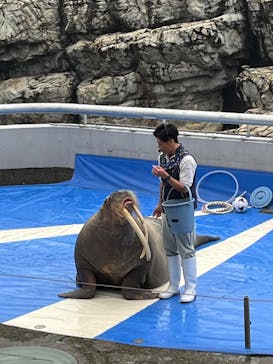 大分マリーンパレス水族館 「うみたまご」に投稿された画像（2024/4/22）