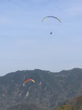 パラグライダーパーク青木に投稿された画像（2024/4/22）