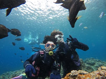 沖縄マリンサービス碧に投稿された画像（2024/4/22）