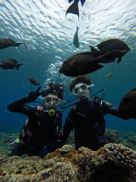 沖縄マリンサービス碧に投稿された画像（2024/4/22）