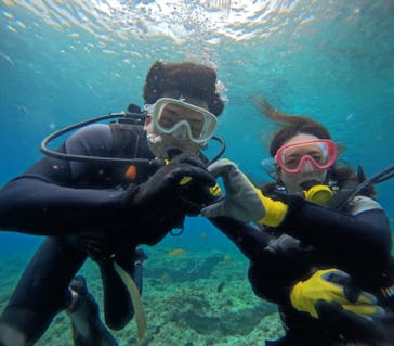 武藤潜水に投稿された画像（2024/4/22）