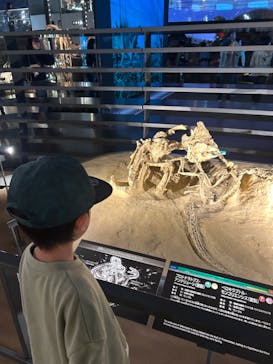 福井県立恐竜博物館に投稿された画像（2024/4/22）