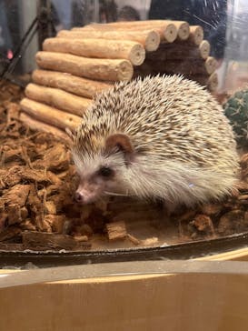 Moff animal cafe イオンモール幕張新都心店に投稿された画像（2024/4/22）