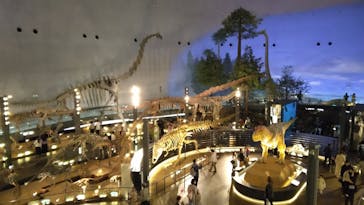 福井県立恐竜博物館に投稿された画像（2024/4/22）