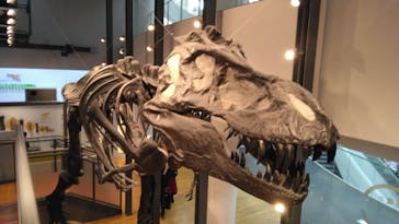 福井県立恐竜博物館に投稿された画像（2024/4/22）