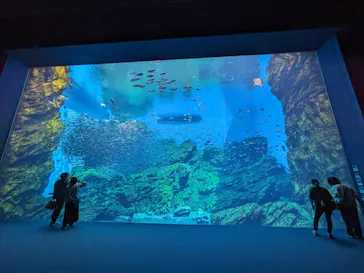 仙台うみの杜水族館に投稿された画像（2024/4/22）